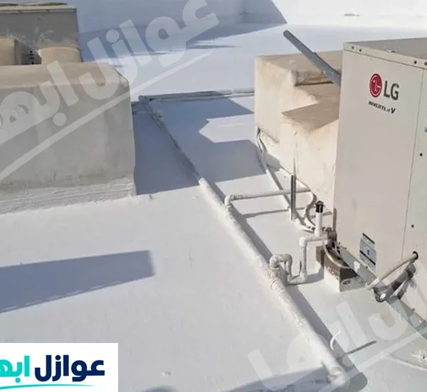 شركة عزل أسطح بابو عريش
