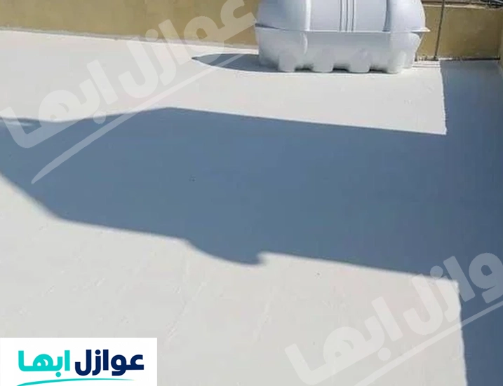 عزل الأسطح ببيشة